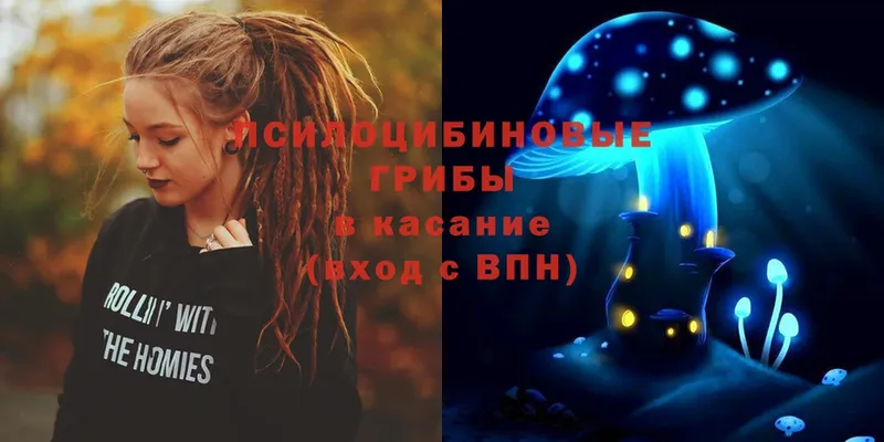 Псилоцибиновые грибы Magic Shrooms  Карталы 